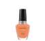 c-1387_molti_marigold_vernis-rosebella.png