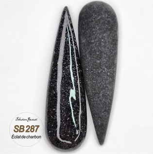 sb287-eclat-de-charbon-ongle-rosebella.jpg