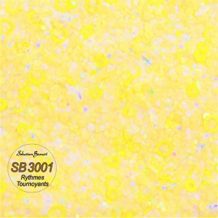 sb3001-rythmes-tournoyants-2-rosebella1.jpg